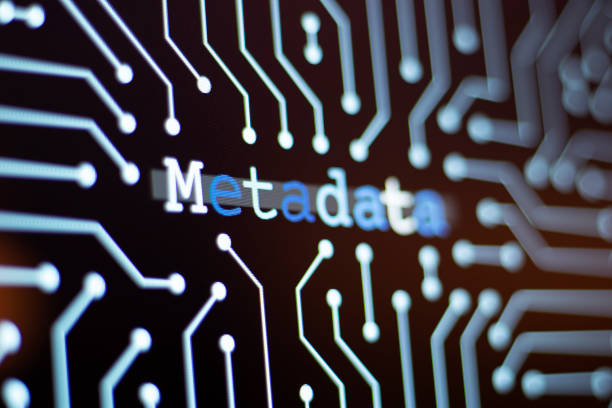 Unified Metadata Platforms: The Hidden Backbone of Data-Driven Organisations